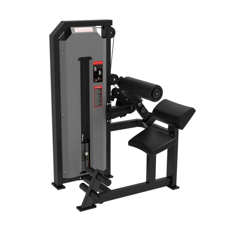 Body Building Strength Gym Seated Back & Abdominal Combo
