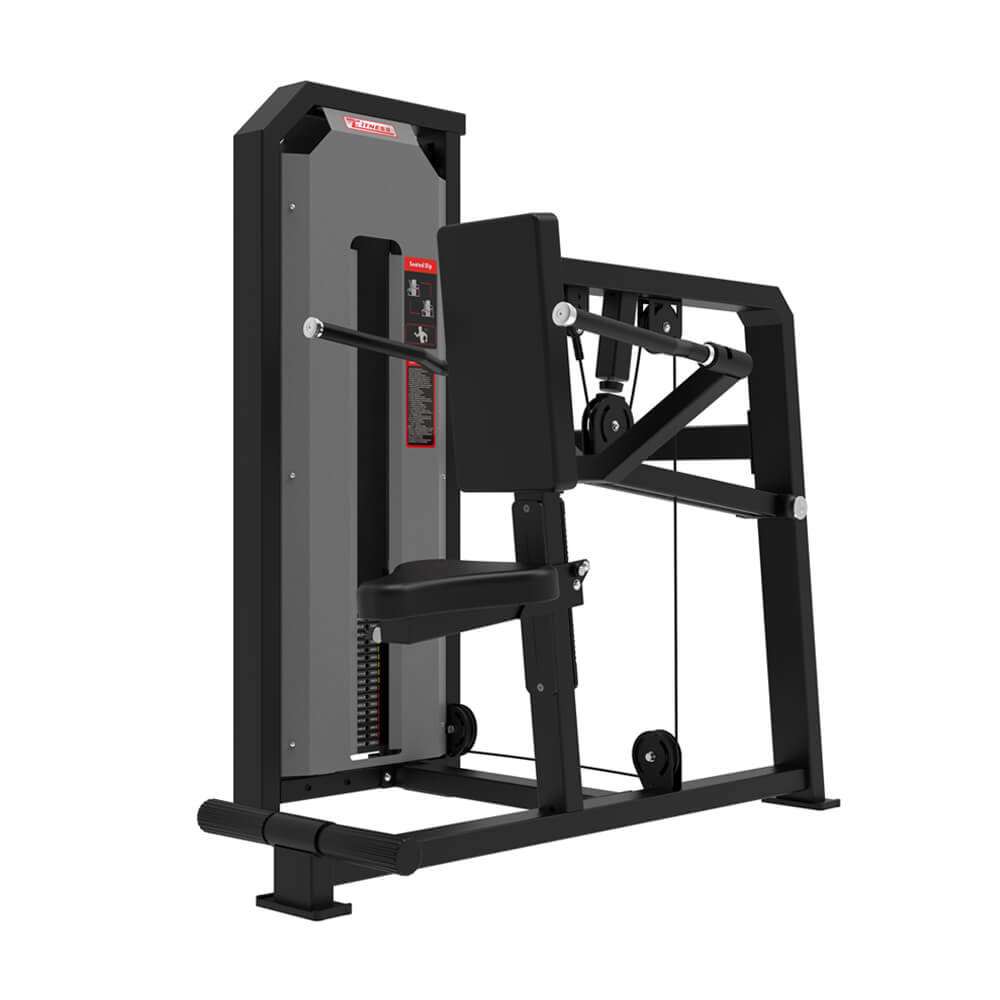 Professional Commercial Triceps Dip Muscle Training Equipment