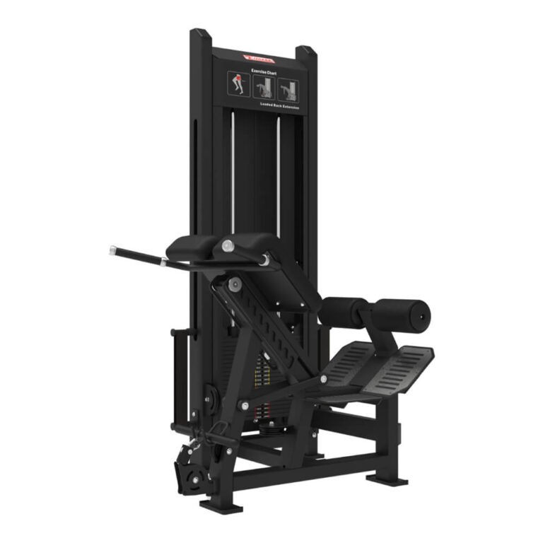 Loaded Back Extension Machine Lower Back Strength Training