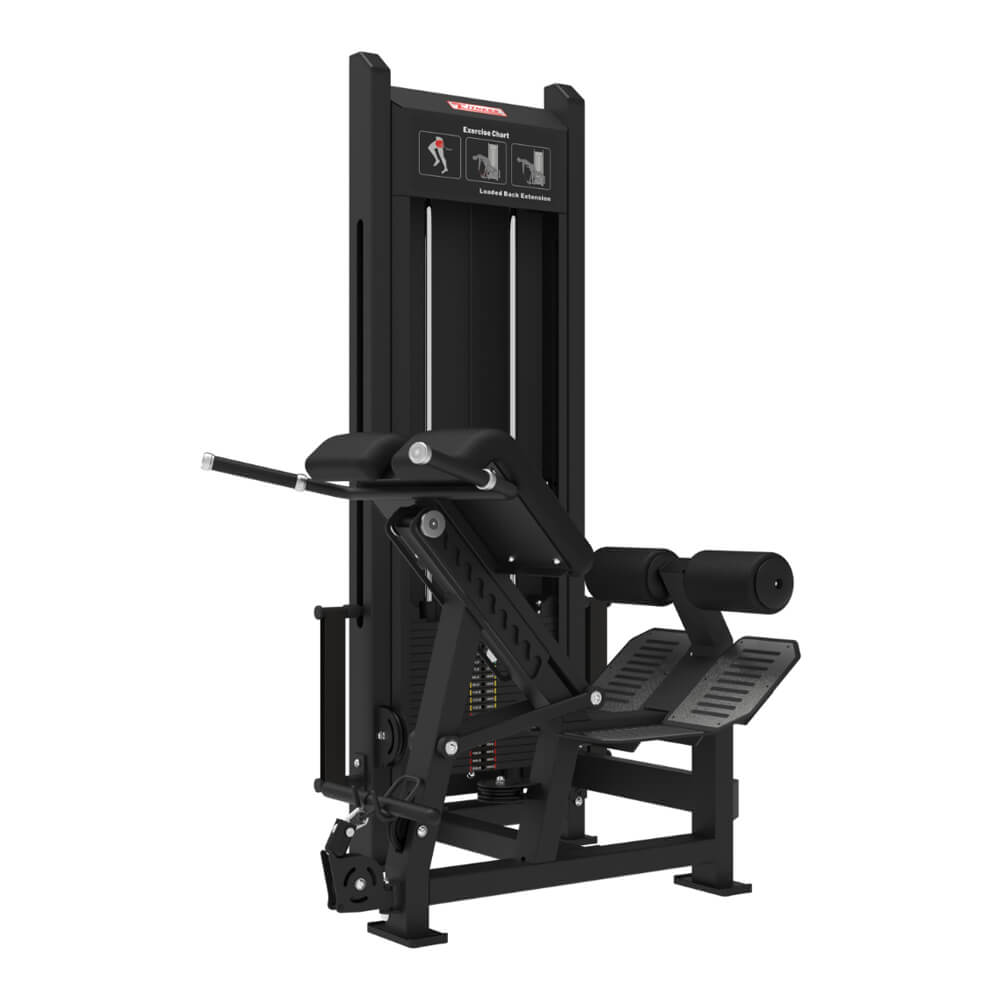 Loaded Back Extension Machine Lower Back Strength Training