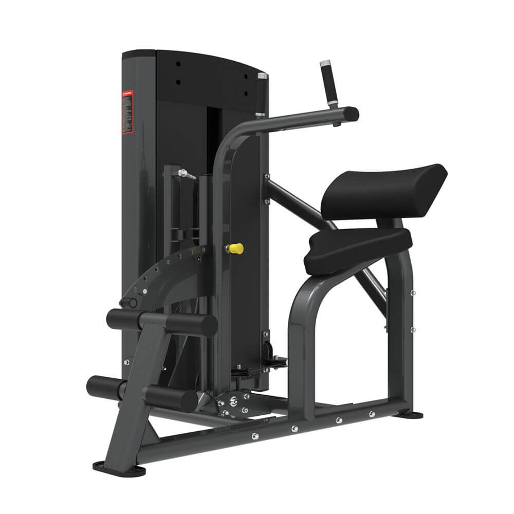 TZ-8215 Abdominal and Back Extension Machine for Core and Lower Back Training
