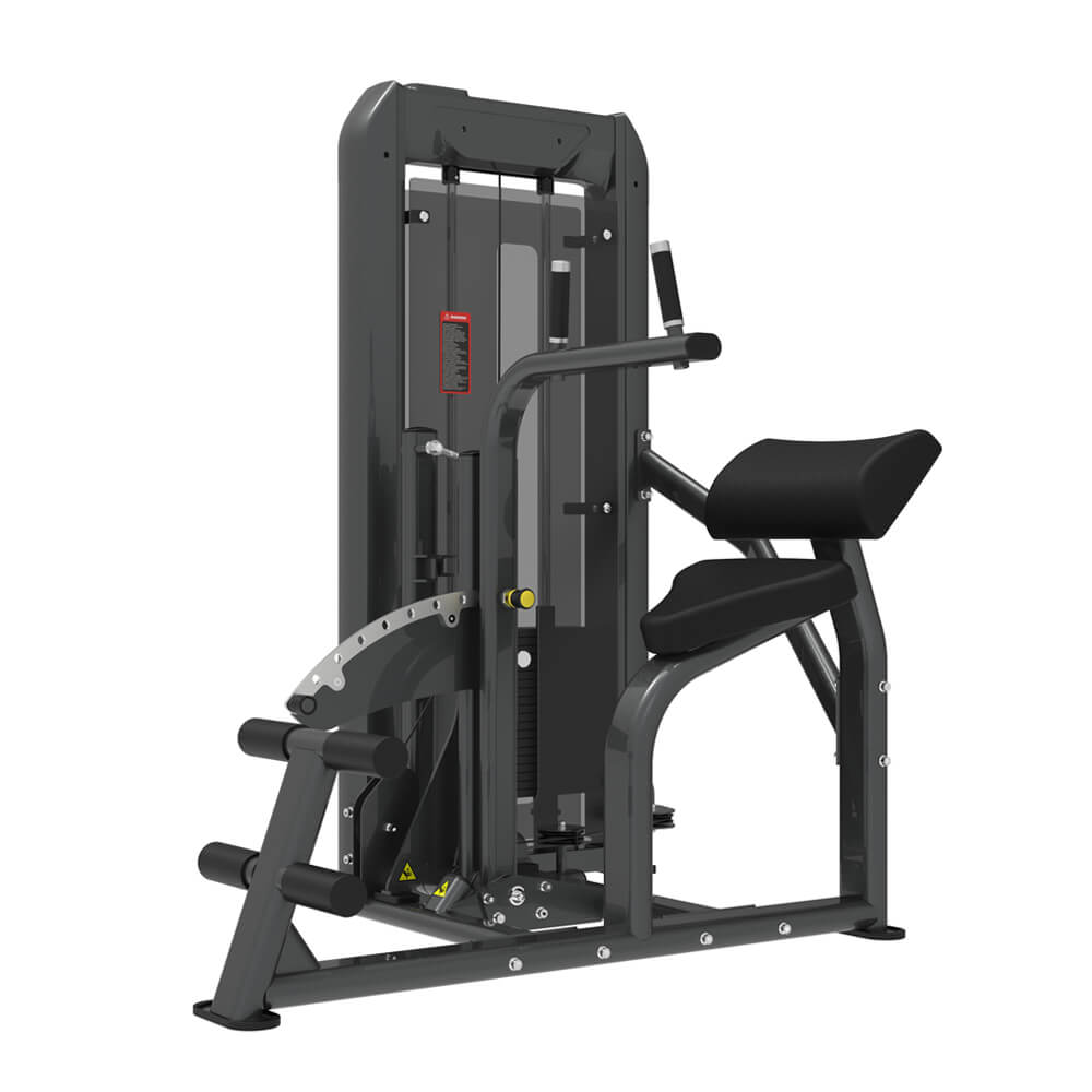 TZ-N8054 abdominal back extension machine with dual exercise positions for core training