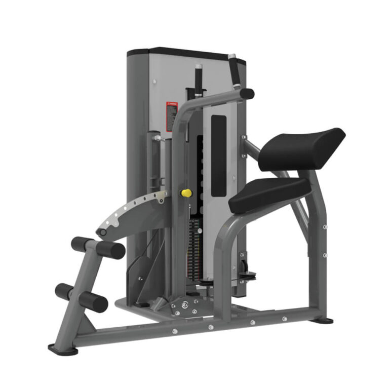 TZ-X8215 Abdominal and Back Extension Machine for Core and Lower Back Muscle Training