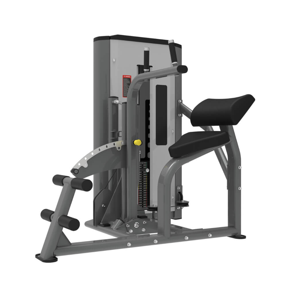 TZ-X8215 Abdominal and Back Extension Machine for Core and Lower Back Muscle Training
