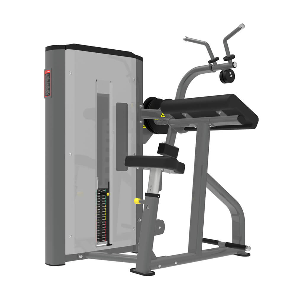 TZ-X8218 biceps triceps machine showing dual function arm workout configuration