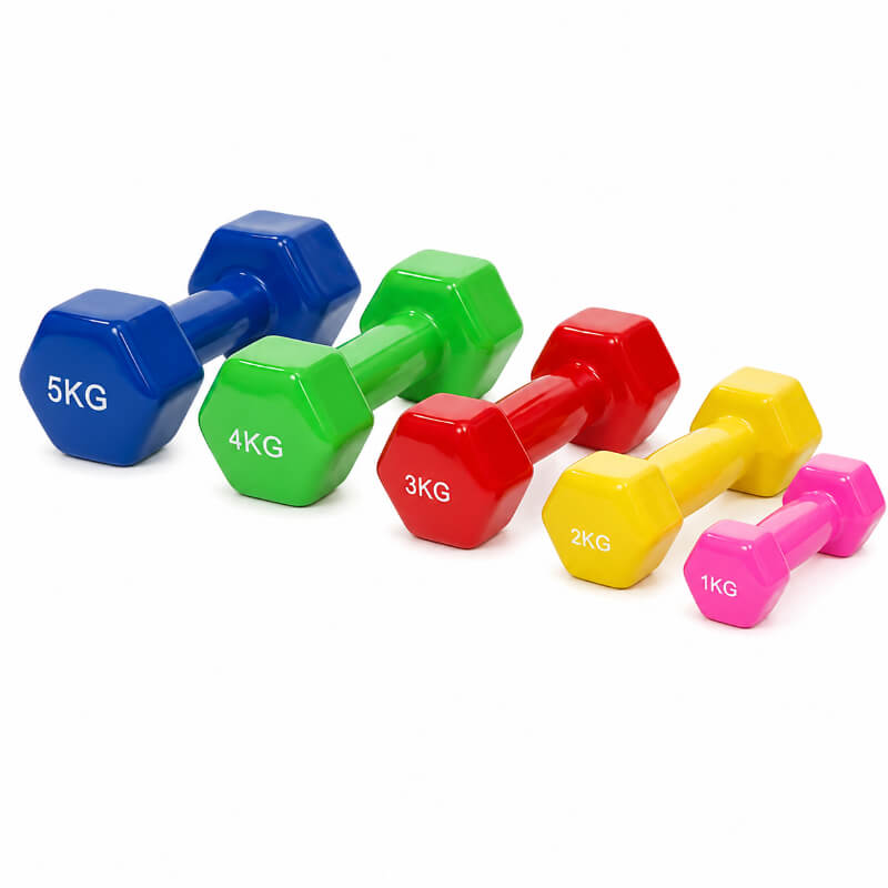 TZ-3004 vinyl dumbbell with colorful coated surface for light strength exercises