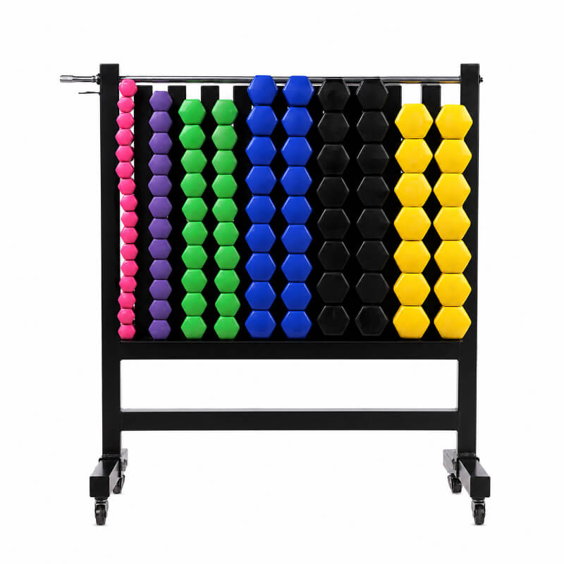 TZ-3004B mobile dumbbell rack with wheels for organized gym storage