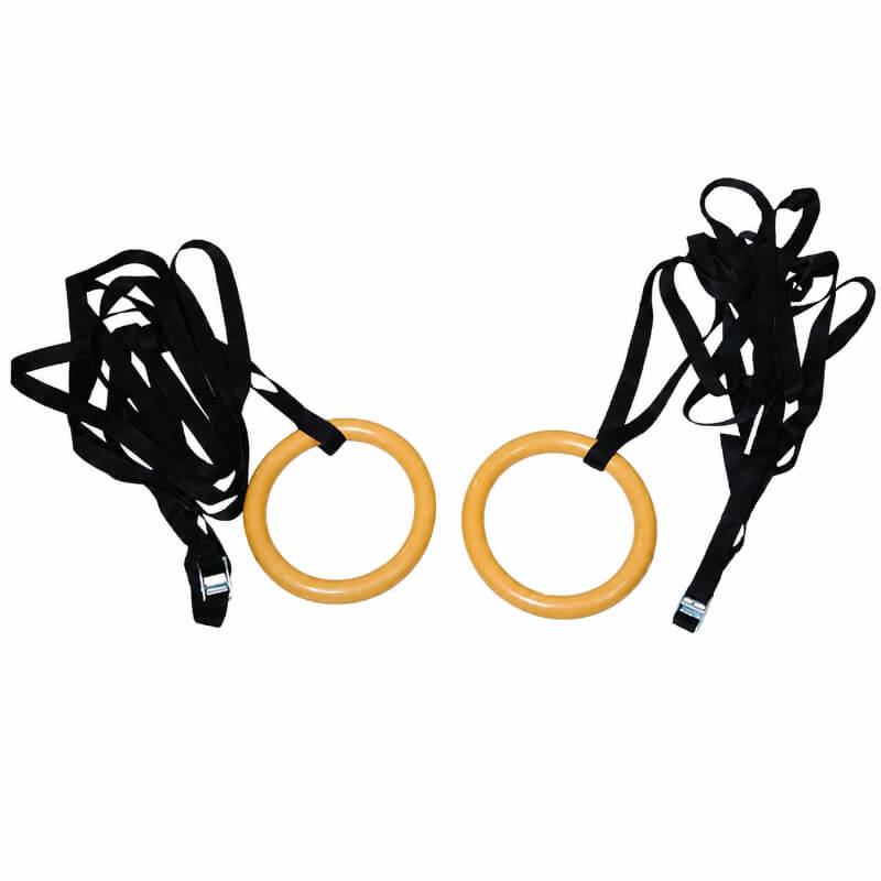 TZ 3032 Gymnastics rings