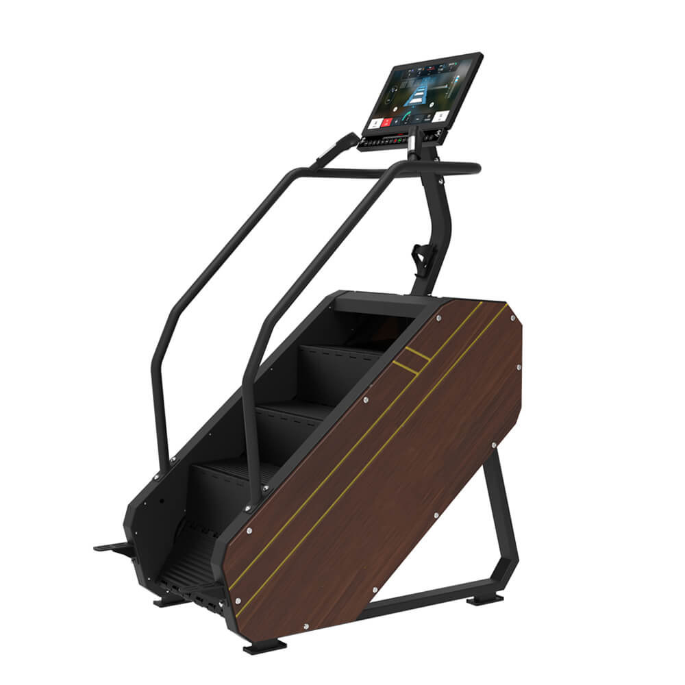 L600C stair climber with mirror display and compact step training system