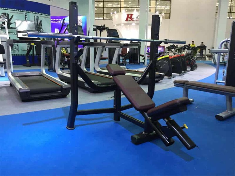 TZFITNESS at China Sports Show 2016 (8)